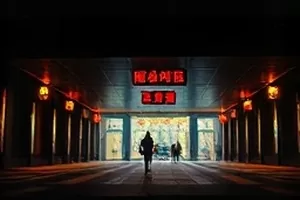 《樱花巷口》封面：窄巷尽头的洗衣店与飘落的花瓣